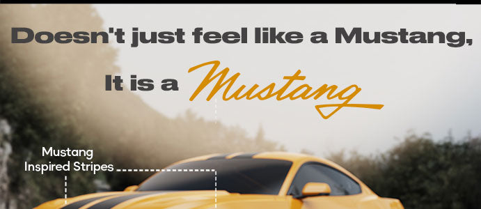 Feature Banner